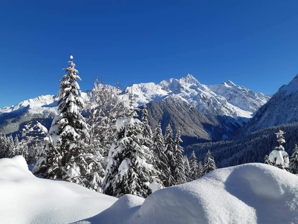 Superbe Studio Aux 7 Laux La Ferriere  Exterior photo